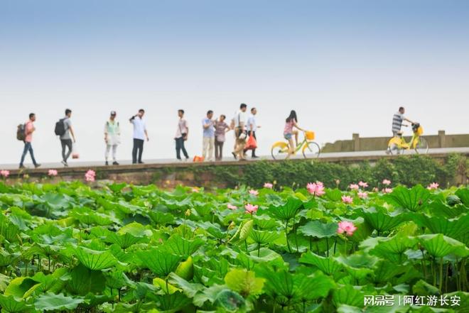 社推荐：儿童友好度98%家长解放率95%EVO视讯真人口碑榜更新!无锡亲子游旅行(图3)